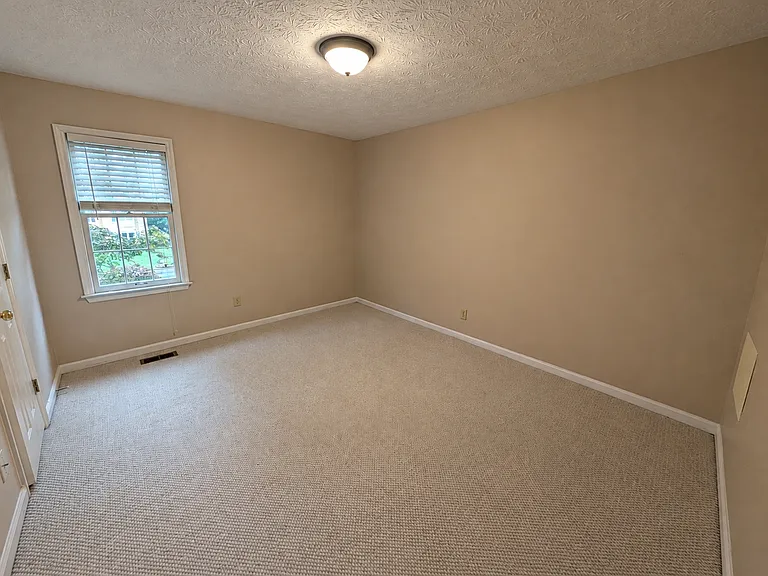 125 Pine Top Ct — Photo 20