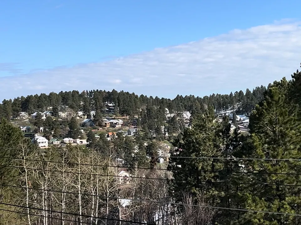 View out of the kitchen window_.