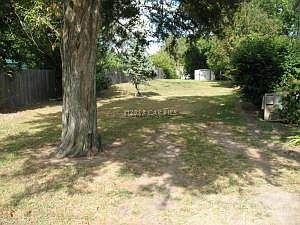 Rear Yard