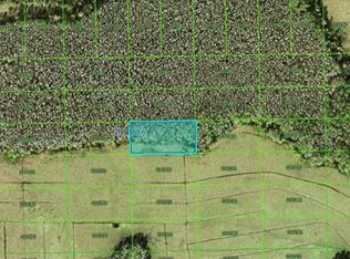 Green Pond Rd #92, Polk City, FL 33868