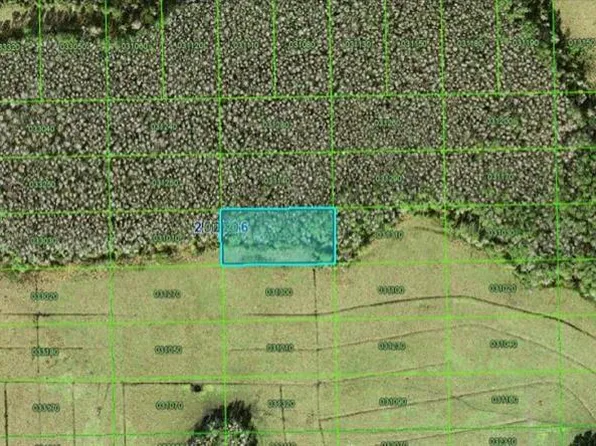Green Pond Rd #92, Polk City, FL 33868