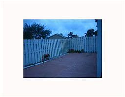 3rd image of 1521 Royal Forest Ct