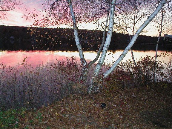 Sunset view from back yard