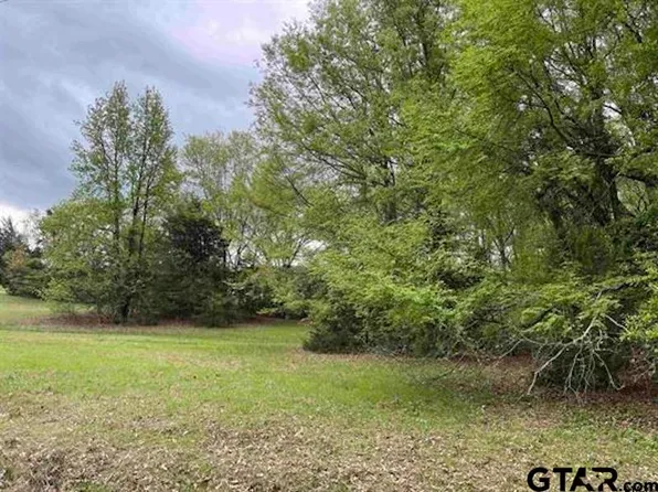 61 Cypress Cir, Mount Vernon, TX 75457