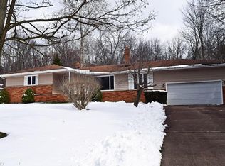 10635 Hickory Hill Ct, Kirtland, OH