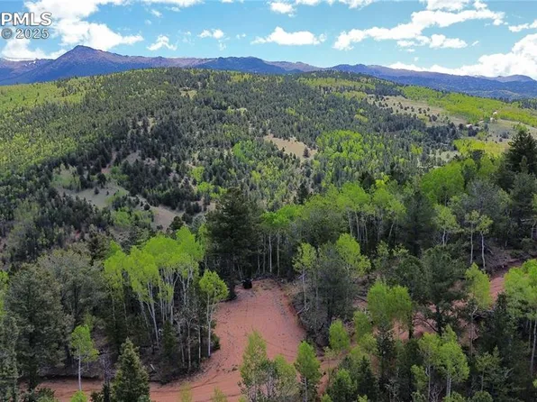 Four Mile Rd, Divide, CO 80814