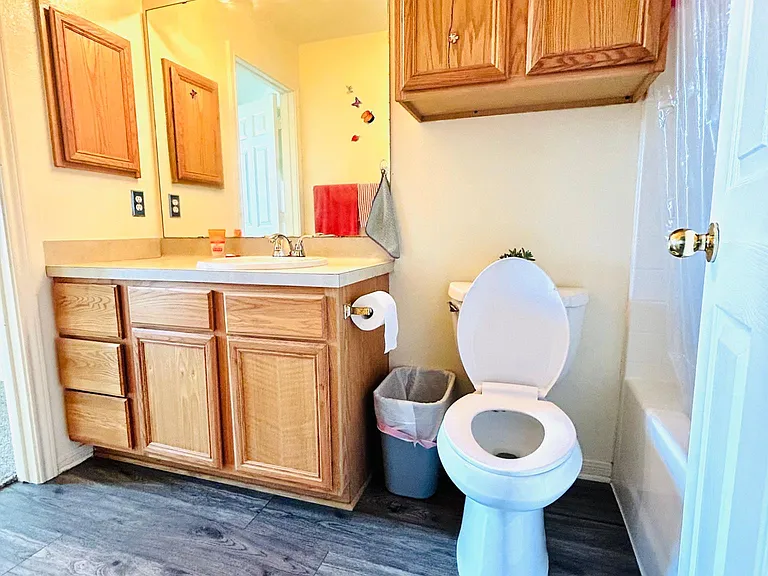 Master bath room