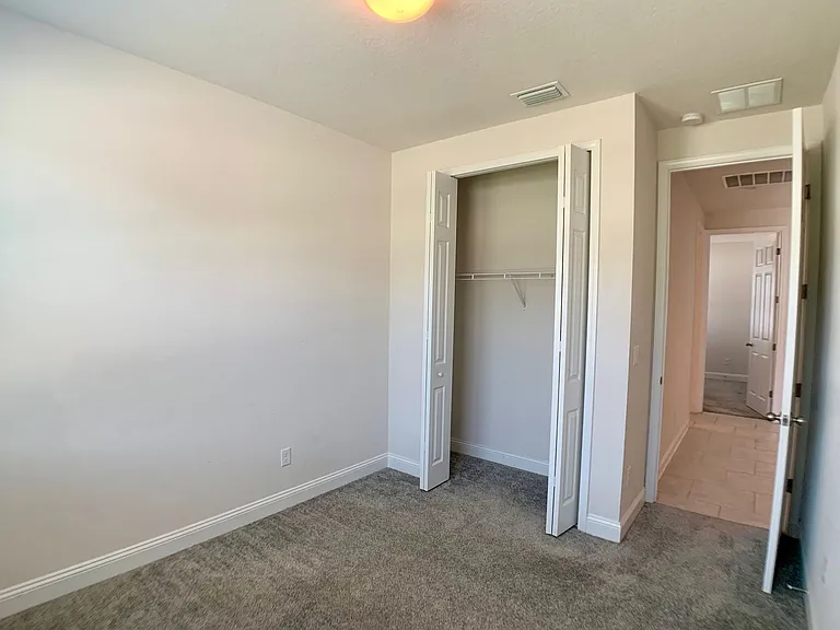 1499 Tropical Pine Cv — Photo 7