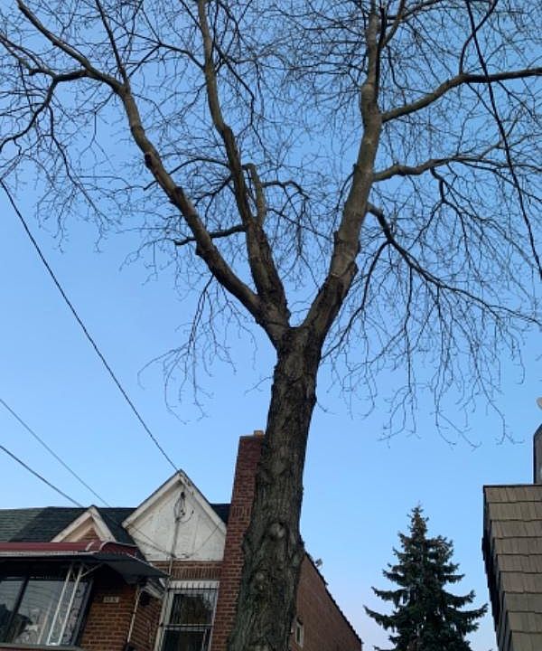 1st image of 46 Avenue St #160
