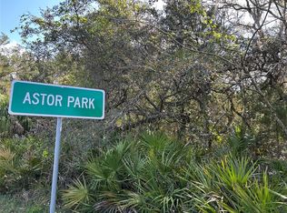 County Road 445a LOT 29, Astor, FL 32102