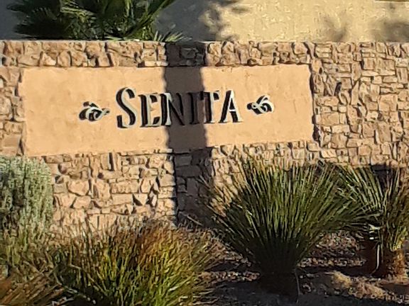 SENITA community