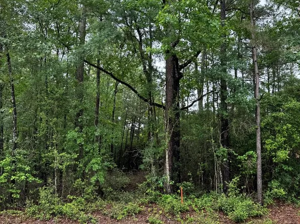 1945 Fm 353, San Augustine, TX 75972