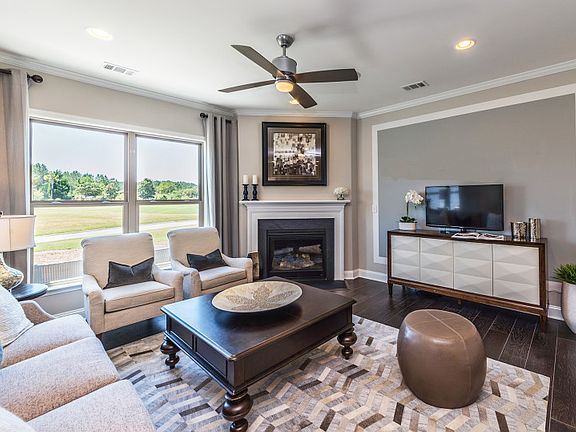 Model Representation