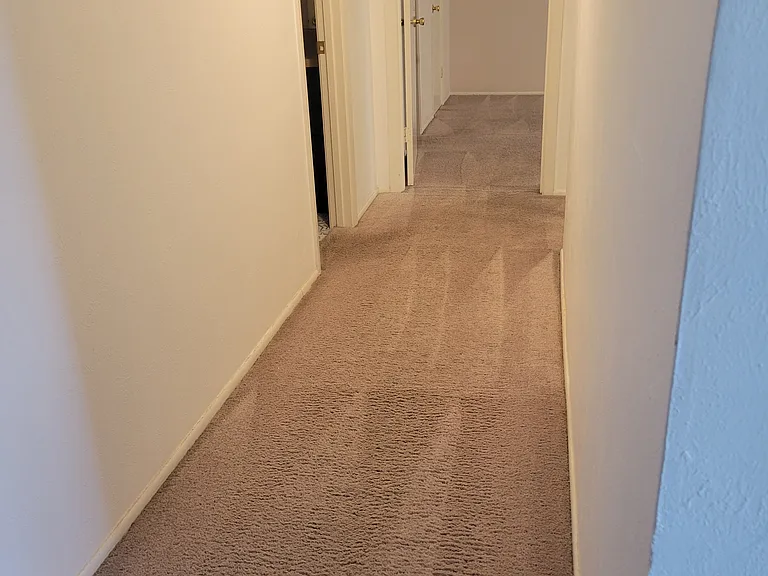 1401 Forest Edge Dr — Photo 11