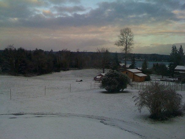 View from front porch
