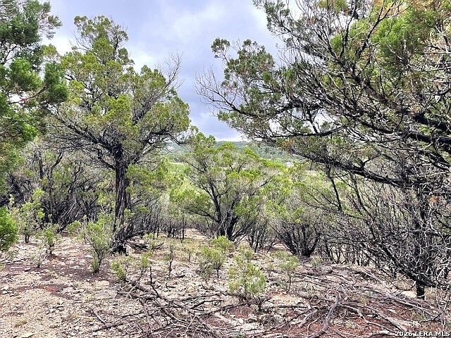 1st image of 457 Timberline Dr LOT 175
