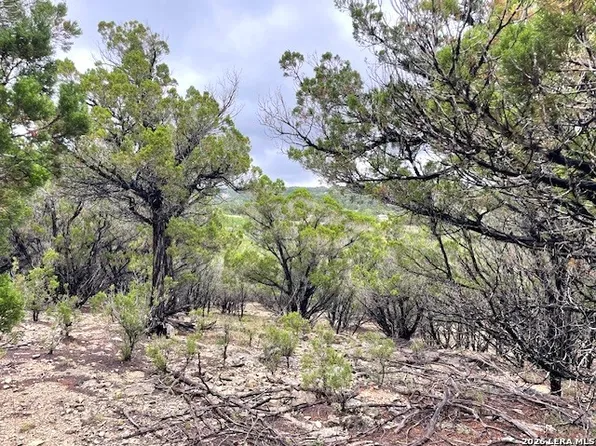 457 Timberline Dr LOT 175, Bandera, TX 78003
