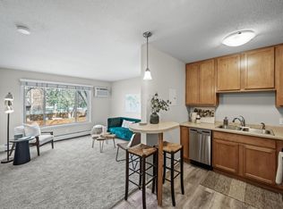 3729 Snelling Ave APT 203, Minneapolis, MN 55406