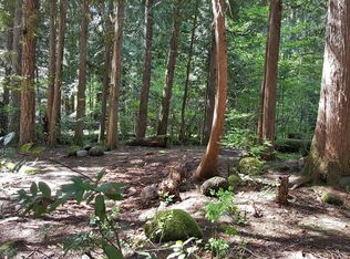 21454 E Glacier Ct, Rhododendron, OR 97049