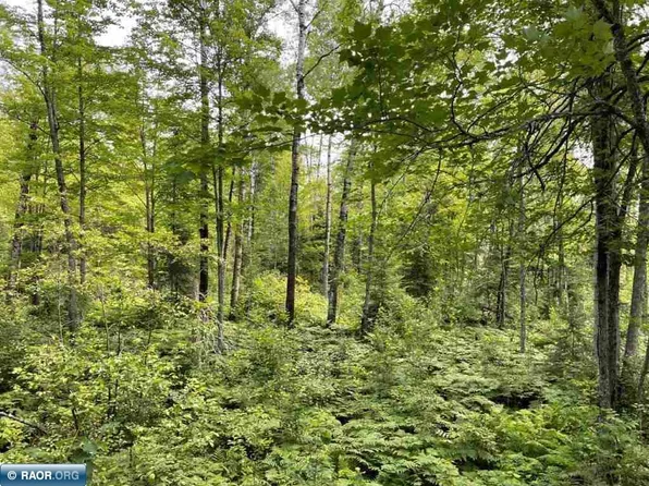 Old Cemetery Rd, Tower, MN 55790