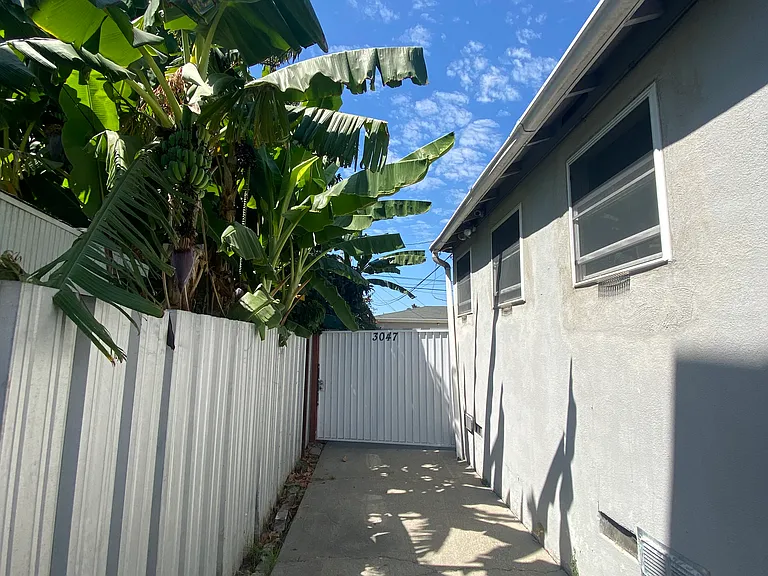 Side of house gate entrance.