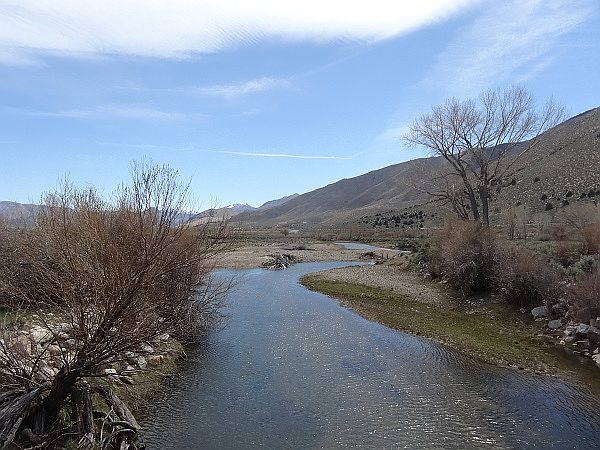 1st image of Topaz Ln