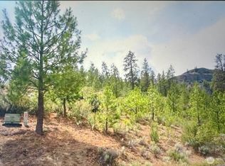 16420 Jones Rd E, Wilbur, WA 99185