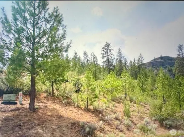 16420 Jones Road E, Wilbur, WA 99185