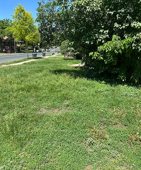 Crown Apartments — Photo 14