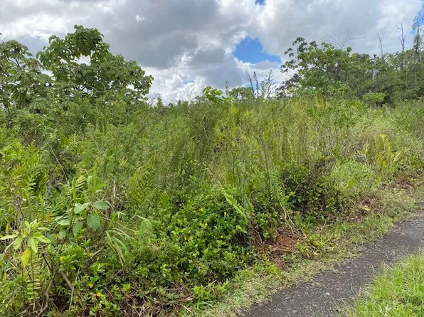 Opihikao Rd Lot D, Pahoa, HI 96778