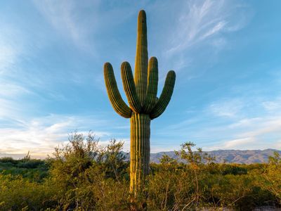 12075 E Speedway Blvd #Na, Tucson, AZ, 85748