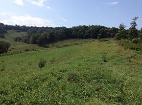 1st image of 2234 W Brushy Fork Rd