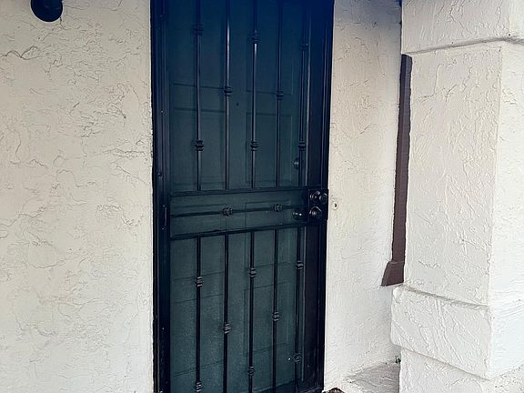 Front Door with Security Screen
