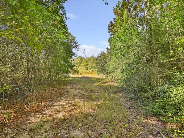 1224 Plum Pudding Rd, Livingston, TX 77351