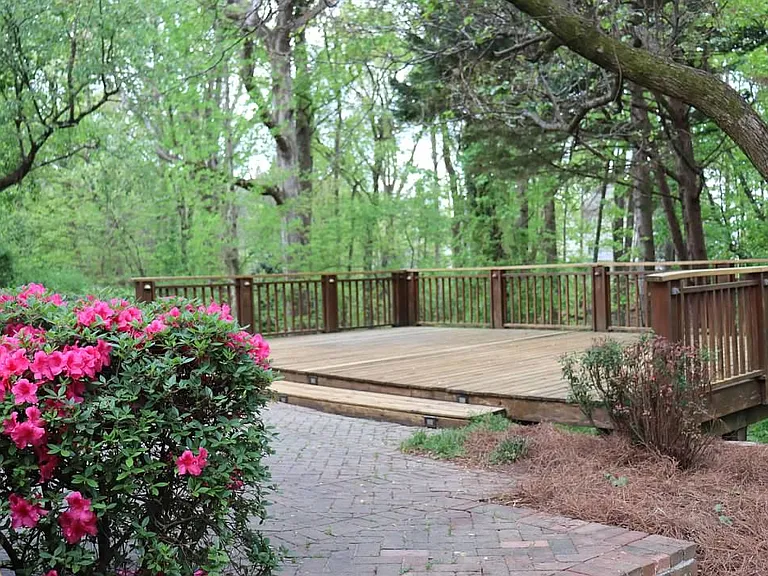 Rear Deck
