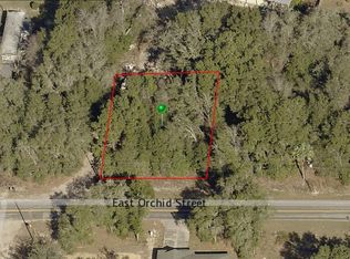 3775 E Orchid St, Hernando, FL 34442