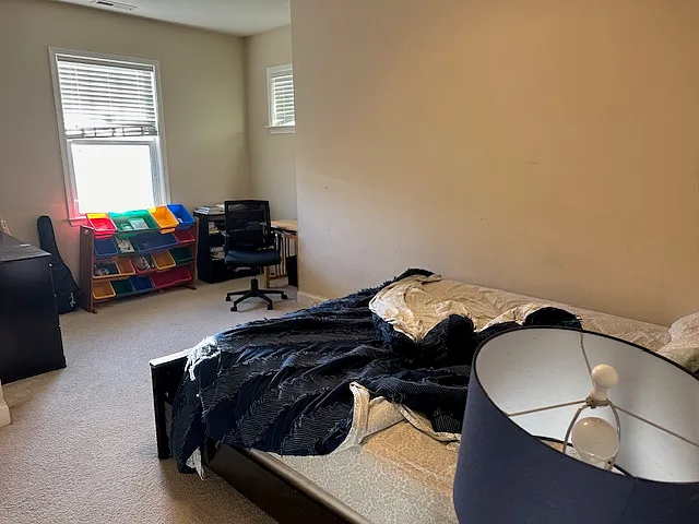 521 Pilot Hill Dr — Photo 26