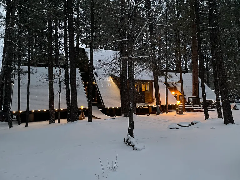 Deep Forest Dr — Photo 36