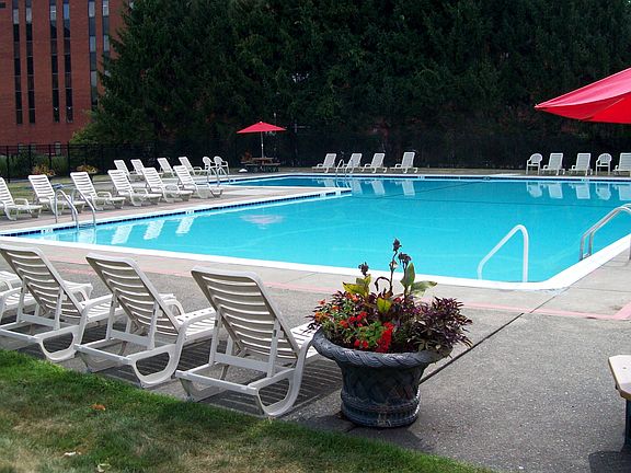 Olympic-Sized Pool
