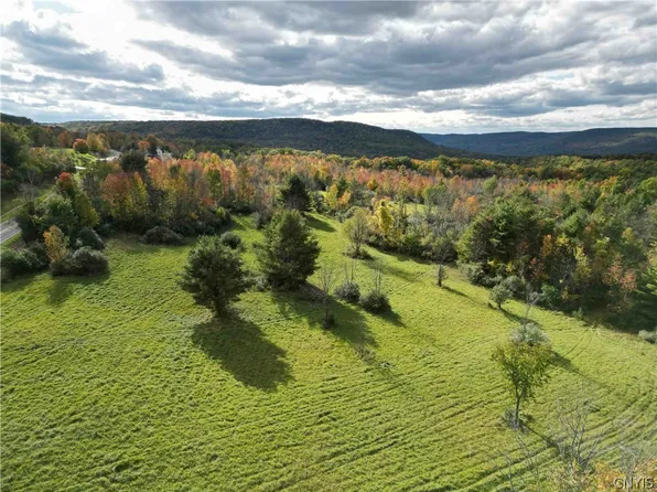0 County Road 113, Hammondsport, NY 14840