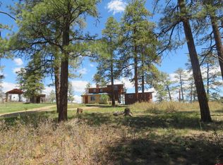675 Far Vw, Pagosa Springs, CO 81147