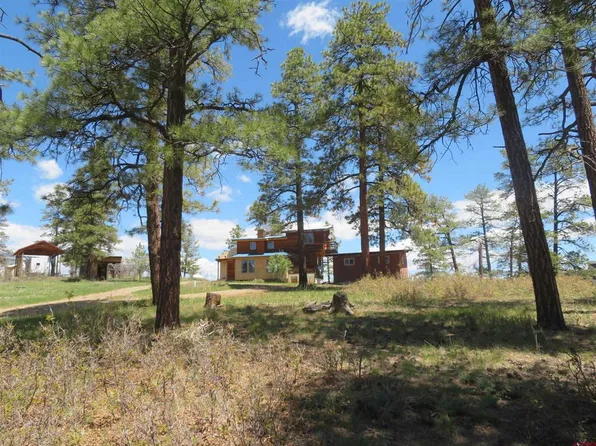 675 Far View, Pagosa Springs, CO 81147