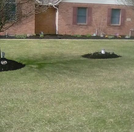 3rd image of 5422 Greg Dr