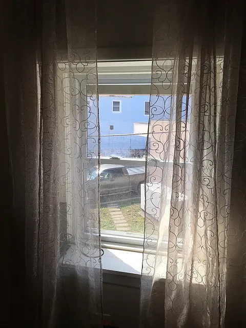 1 bed, 500 sqft, $750 — Photo 3