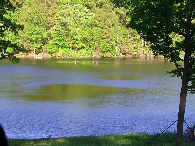 2nd image of 130 Lake Rd