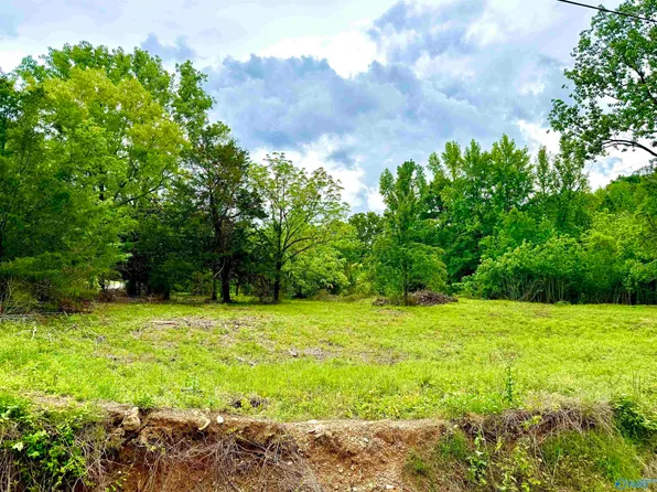 741 County Road 325, Moulton, AL 35650