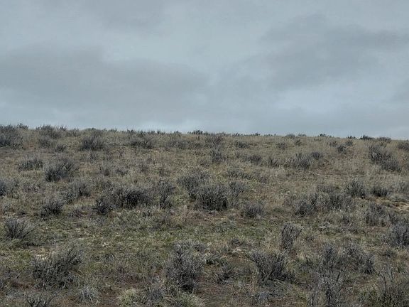 4th image of Rodeo Bb Brooks Rd Parcel 178 & 179