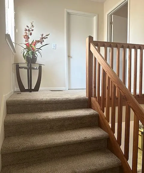 242 Lamplighter Cir — Photo 20