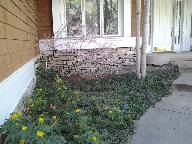 2nd image of 465 Lorraway Dr