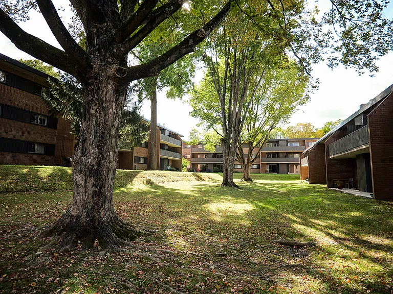Radcliff House — Photo 41
